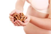 Walnuts during pregnancy