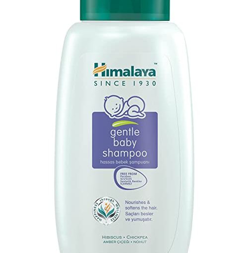 Best Shampoo For Dry And Frizzy Hair In India